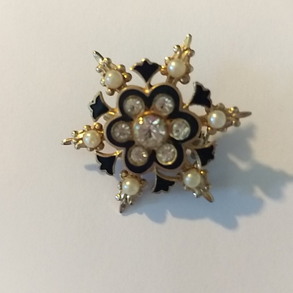 Karu Arke pin